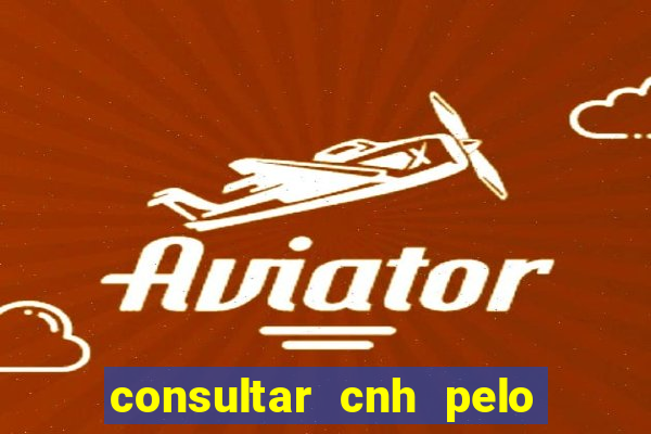 consultar cnh pelo cpf sp